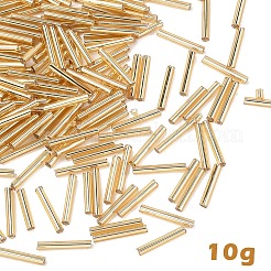 10 g Glasperlen&nbsp;SEED-YW0003-01B