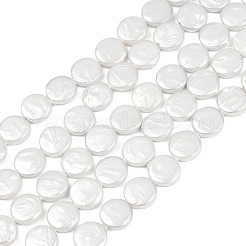 Brins de perles imitation perle en porcelaine électrolytique&nbsp;BSHE-Z009-02B