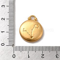 Ciondoli in acciaio inox 304&nbsp;STAS-L022-306MG-12
