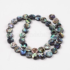 Brins de perles en coquille d'ormeau naturel / coquille de paua&nbsp;SSHEL-G003-5-10x3mm