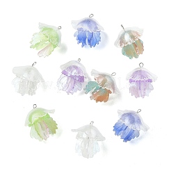 Colgantes de plástico 10pcs 5 colores&nbsp;KY-CJ0002-19