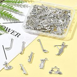 Pendentifs en alliage de style tibétain&nbsp;TIBEP-FS0001-34