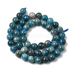 Natürliche Apatit Perlen Stränge&nbsp;G-F674-04-8mm