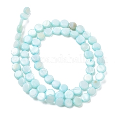 Hebras de cuentas de moneda de concha de agua dulce natural&nbsp;SH-CBACA76-17B
