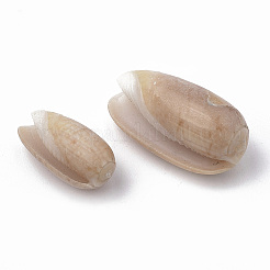 Perle di conchiglia a spirale&nbsp;LS-SSHEL-S258-08