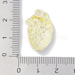 Crémaillère placage pendentifs en émail d'alliage&nbsp;PALLOY-F018-31G-01