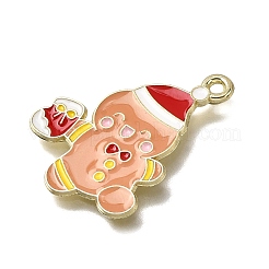 Pendentifs d'émail en alliage&nbsp;FIND-Z094-03G-03