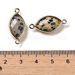 Charms conectores facetados de jaspe dálmata natural&nbsp;G-K347-03G-12