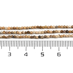 Natürliches Bild Jaspis Perlen Stränge&nbsp;G-P572-B03-2mm