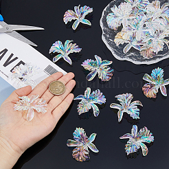 12 Stück transparente Acrylperlen mit UV-Beschichtung&nbsp;MACR-FH0001-27