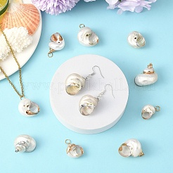 Colgantes de concha en espiral galvanizada&nbsp;BSHE-YW0001-07P