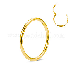 Boucles d'oreilles cartilage en acier inoxydable chirurgical 316l&nbsp;WGCE3BC-16