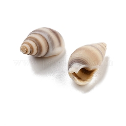 Perles de coquillage en spirale naturelle&nbsp;BSHE-G038-06B