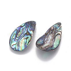 Natürliche Abalone Muschel / Paua Muschel Anhänger&nbsp;SSHEL-F303-04