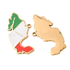 Ciondoli in acciaio inossidabile 304 e smalto&nbsp;SA-CBA6ECE-01B-G