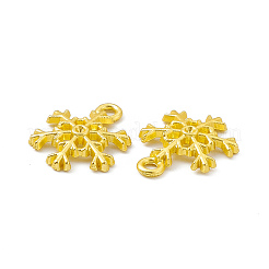Acumular colgantes de aleación de revestimiento&nbsp;FIND-G045-11MG