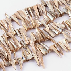 Chapelets de perles de coquillage naturel, erose, blanc, environ 4~9 mm de large, Longueur 13~35mm, trou: environ 0.5 mm, 14 pouce