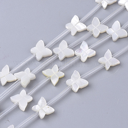 Shell perle bianche naturali, perle di madreperla, farfalla, bianco, 7x8x2.5mm, Foro: 0.6 mm