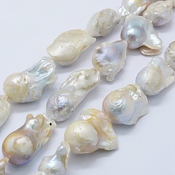 Natural Baroque Pearl Keshi Pearl Beads Strands, Cultured Freshwater Pearl, Nuggets, 20~27x15~25x15~20mm, Hole: 0.5mm, about 18pcs/strand, 16.1 inch