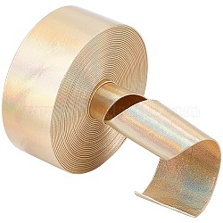 Gorgecraft cordón plano imitación cuero láser 4.6~5m, cordón de color del arco iris para la decoración de la ropa, plata, 30x0.8mm, aproximamente 4.6~5 m / rollo