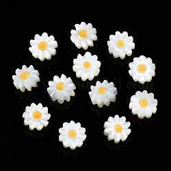 Cuentas de esmalte de concha blanca natural, flor, naranja, 8.5x8.5x4mm, agujero: 0.8 mm