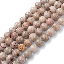 Chapelets de perles maifanite/maifan naturel pierre , teinte, ronde, chardon, 8mm, Trou: 1.2mm, Environ 47 pcs/chapelet, 15.55'' (39.5 cm)