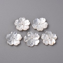 Guscio bianco naturale madreperla perle di conchiglia, lavorato, fiore, bianco crema, 21x21x2~3mm, Foro: 1 mm