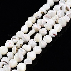 Natural Trochid Shell/Trochus Shell Beads Strands, Bleach, Nuggets, Creamy White, 7~12x5~10x4~8mm, Hole: 1mm, about 60~64pcs/strand, 15.16 inch~15.75 inch(38.5~40cm)