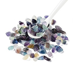 Perles de fluorite naturelles, non percé, puces, 6~19x4~6x3~5mm, environ 100 g /sachet 