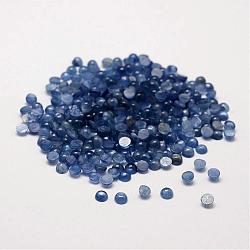 ドーム天然藍晶石/シアン石/ジステンカボション  4x2.5mm