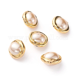 Perline di guscio, con i risultati in ottone placcato oro, ovale, bianco antico, 18~20x19~20x12~13mm, Foro: 0.8 mm