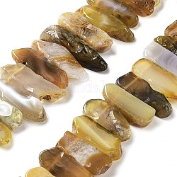 Natural Botswana Agate Beads Strands, Top Drilled Beads, Rectangle, 24~62x8~14x4~9mm, Hole: 1.8mm, about 34~39pcs/strand, 15.04''~15.51''(38.2~39.4cm)
