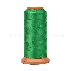 Полиэфирные нити, для изготовления ювелирных изделий, зелёные, 0.25 мм, около 874.89 ярда (800 м) / рулон