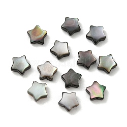 Perles de lèvre noire en coquillage naturel , étoiles du nord, noir, 8x8x3~3.5mm, Trou: 0.8mm