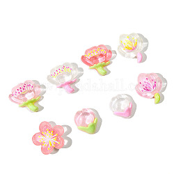 Translucent Resin Cabochons, Sakura, for Jewelry Making, Mixed Color, 20~23x17~24.5x5~7mm