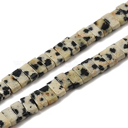Natur Dalmatiner Jaspis Perlen Stränge, 2-Loch, Rechteck, 2.5~3x5x2.5 mm, Bohrung: 0.8 mm, ca. 138~140 Stk. / Strang, 15.28''~15.31'' (38.8~38.9 cm)