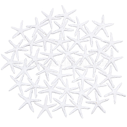 Cabochons en résine, étoile de mer / étoiles de mer, blanc, 53~55x53~55x8mm