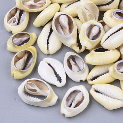 Perle naturali di conchiglia di ciprea, Senza Buco / undrilled, cachi chiaro, 19~27x14~19x6~7mm