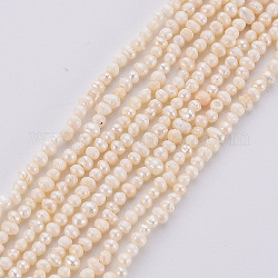 Hebras de perlas de agua dulce cultivadas naturales, color de concha, 1.5~2x1.5~3x1.5~2mm, agujero: 0.5 mm, aproximamente 142 pcs / cadena, 13.78 pulgada (35 cm)