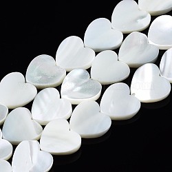 Fili di perle di conchiglia trochid naturale / trochus, candeggiare, cuore, bianco, 12x12x3mm, Foro: 0.8 mm, circa 39~41pcs/filo, 15.55 pollice ~ 15.94 pollici (39.5~40.5 cm)