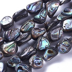 Brins de perles en coquille d'ormeau naturel / coquille de paua, pépites, 10~19x9~14x5~8mm, Trou: 1mm, Environ 28~30 pcs/chapelet, 15.7~15.9 pouce (40~40.5 cm)