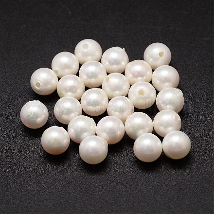 Perles nacrées en coquilles BSHE-L031-01-10mm-1