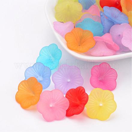 Mixed Transparent Frosted Acrylic Petunia Beads X-FACR-R012-M-1