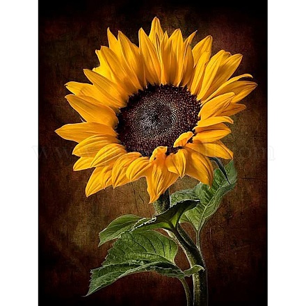 Sunflower DIY Diamond Painting Kit PW-WG35792-03-1