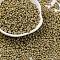 8/0 Baking Paint Glass Seed Beads, Round Hole, Teardrop, Dark Khaki, 3x2mm, Hole: 1mm, about 18750pcs/pound