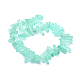 Electroplated Natural Quartz Crystal Beads Strands G-P368-07A-2