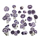 20 Uds. Pegatinas autoadhesivas impermeables de flores vintage para mascotas DIY-G108-01B-1