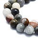 Natural Eagle Eye Stone Beads Strands G-K245-A09-04-3