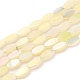 Electroplate Opaque Glass Beads Strands EGLA-J150-A-FR11-1