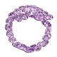 Natürlichen Amethyst Perlen Stränge&nbsp;G-Z152-B01-02-3